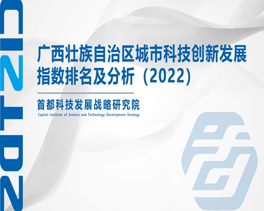 白丝美女让我日【成果发布】广西壮族自治区城市科技创新发展指数排名及分析（2022）